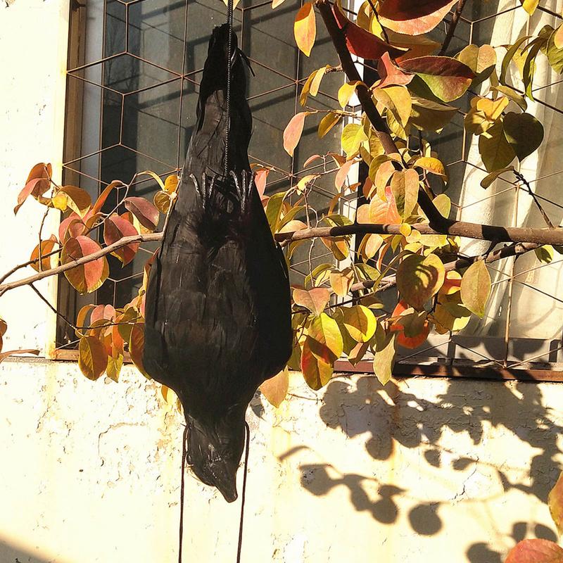 Stimulated Realistic Hanging Crow Black Feathered Bird Halloween Bar Ornaments Scary Prop Outdoor Scarecrow Garden Yard Decor