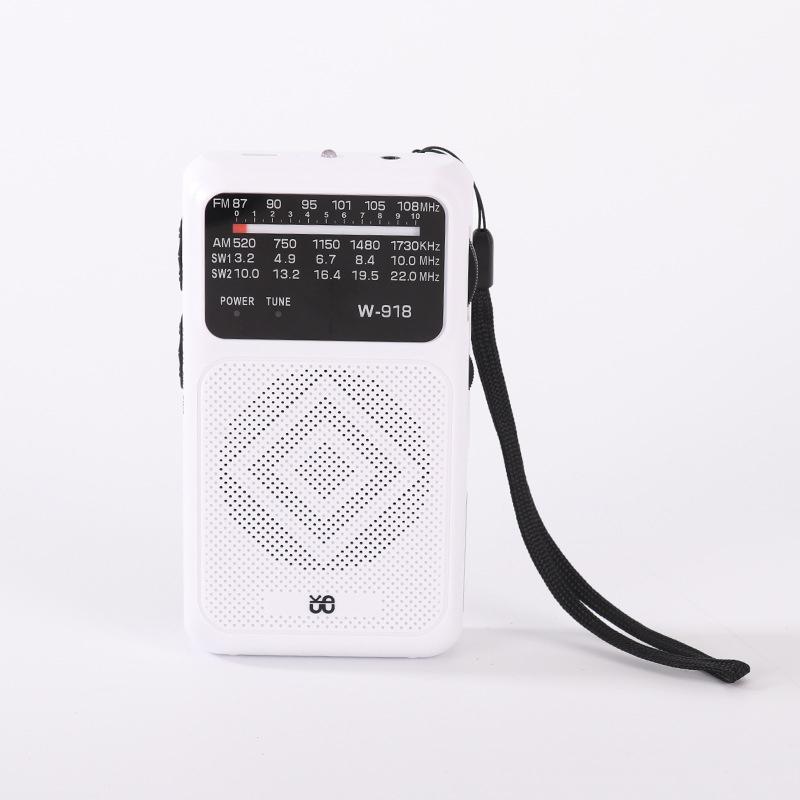 Mini Pocket DSP Radio Best Reception FM AM SW Radios Receiver with Flashlight Loudspeaker 3.5mm Headset Jack Rechargeable Radio