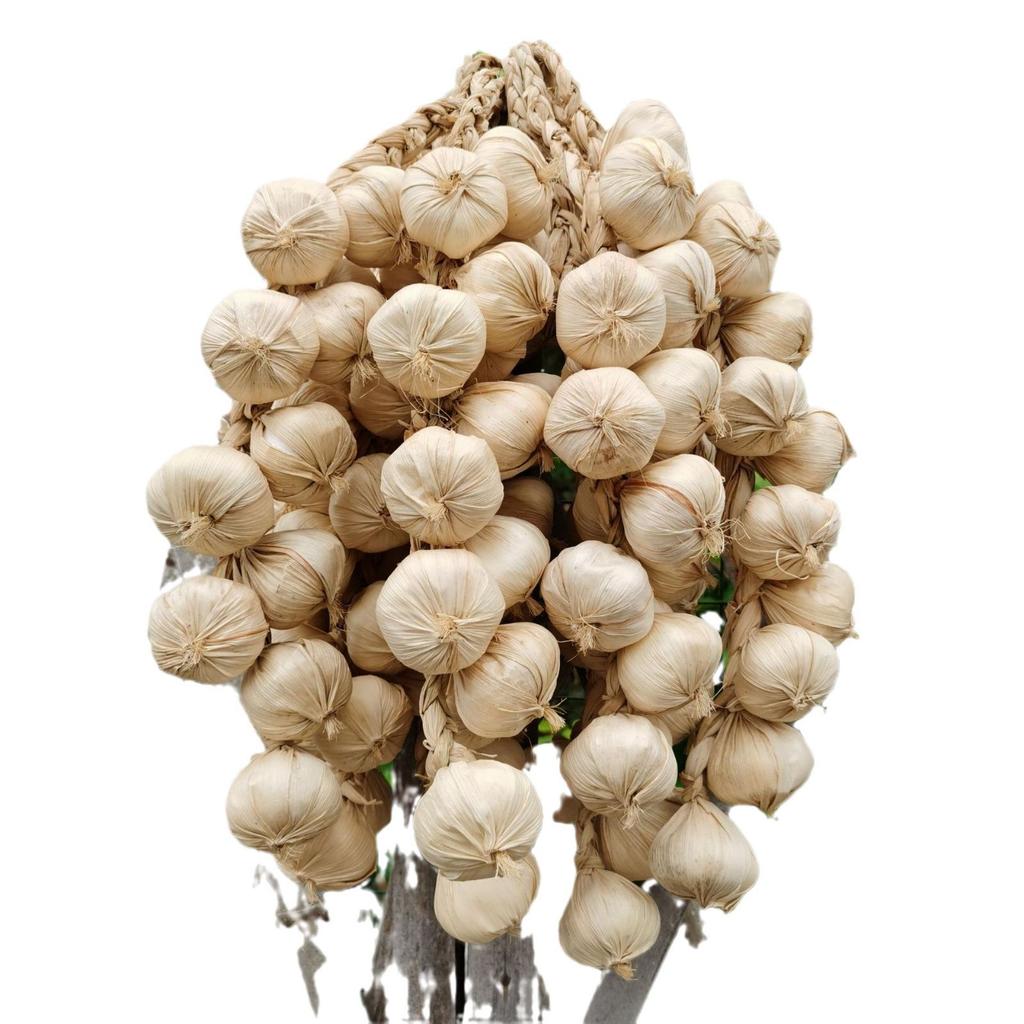 Kunstmatige Knoflook en Chili Hangdecoratie - Boerderijstijl & Fotografie Props