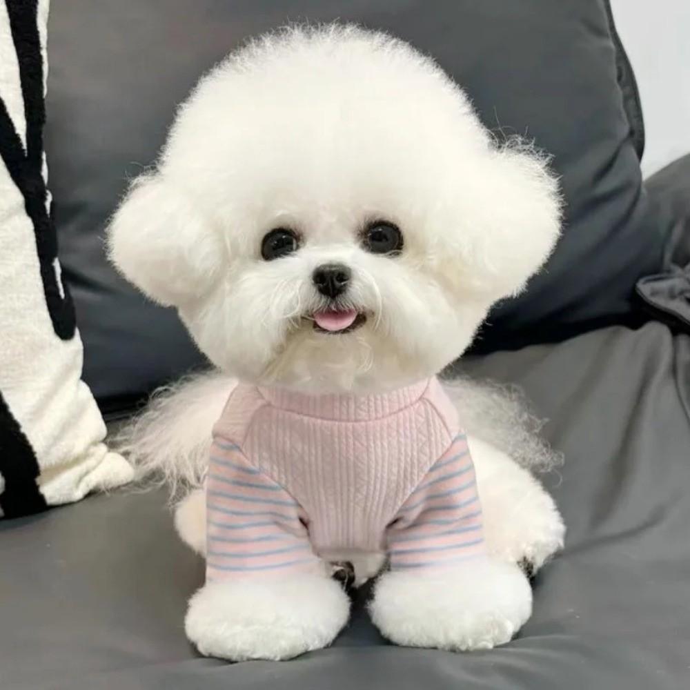 Style décontracté Pulls rayés pour chiots Chauds Confortables avec anneau en D Sous-vêtement pour chien Pull doux pour chien Activités de plein air