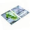 Decorative Tempered Glass Cutting Boards Water Cucumbers 2x40x52 Cm
