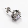 High-End Retro Rhinestone Stud Earrings for Men & Women – Versatile Titanium Steel Design