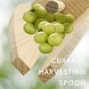 Wooden Berry Picker Gooseberry Harvesting Scoop with Ergonomic Handle for Large Caliber Berries