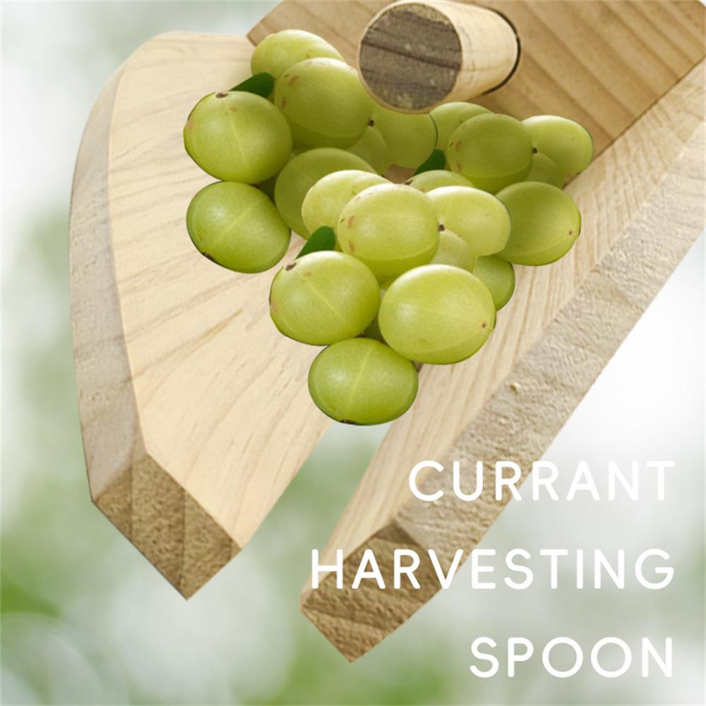 Wooden Berry Picker Gooseberry Harvesting Scoop with Ergonomic Handle for Large Caliber Berries