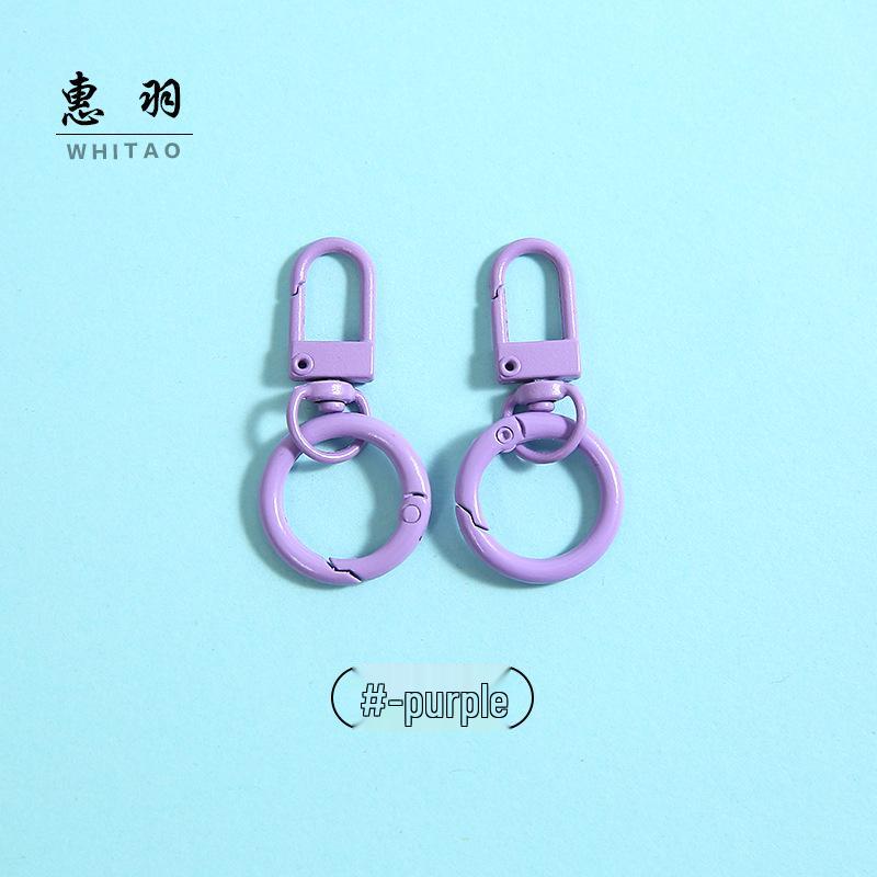 Colorful Alloy Strap & Spring Ring Keychain Buckle - Toy, Dog Hook, Handbag Accessory