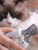 Pet Nail Clippers Pet Dog Cat Grooming Nail Scissors Stainless Steel Straight Handle Clippers Pet Supplies