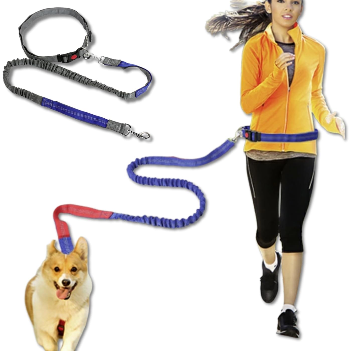 

Stepmarket Dog Leash for Small and Medium Walking Pet Pet for Outdoor Dog and Other Activities C Hands-Free Puppies, Dogs, Leash, Supplies, Goods,