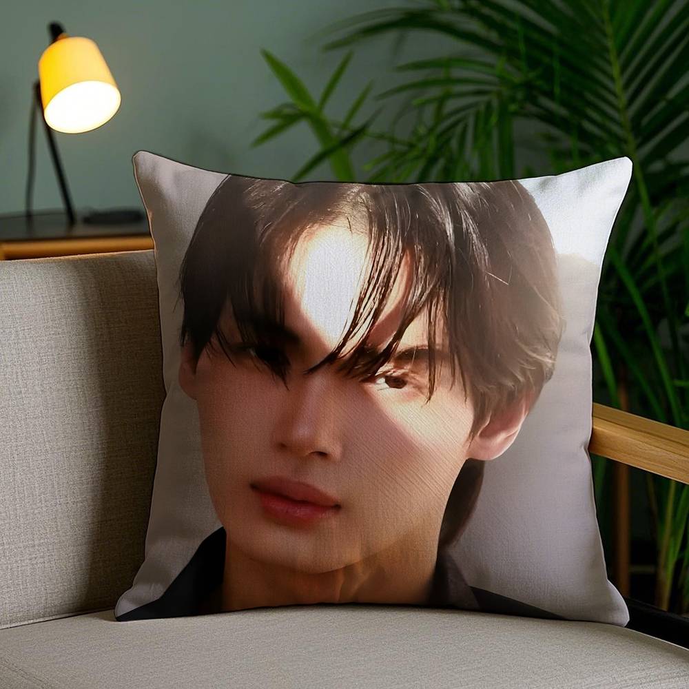 

WWin MMetawin Pillow Case Antidustmite Invisible zipper Sofa Bed 30X30cm