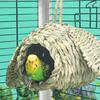 Grass Bird Nest Hangable Nest House Bird Cage Small Birdcages Tent Outdoor Garden Sleep Nest for Wildlife Bird