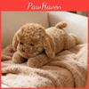Plush Dog Pillow Toy For Kids Sleep Decor Kids Room Gift