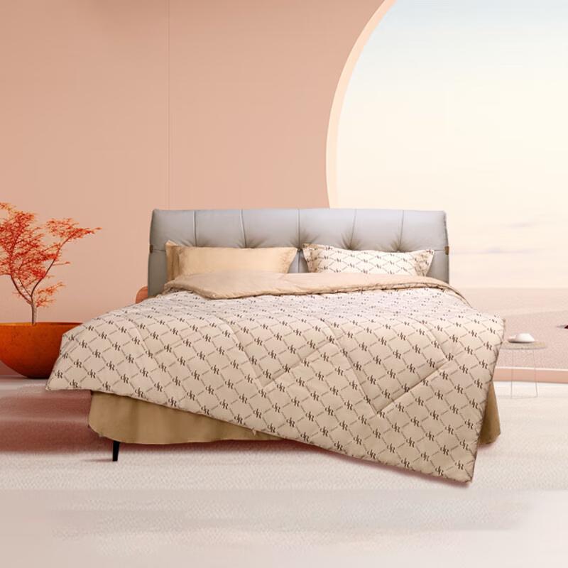 DeRUCCI GUCCI Совместно разработанное антибактериальное весенне-осеннее одеяло