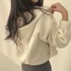 Sherpa Hoodie Women Autumn Winter Thick Warm Plush Jacket Short Zipper Hooded Coat Women