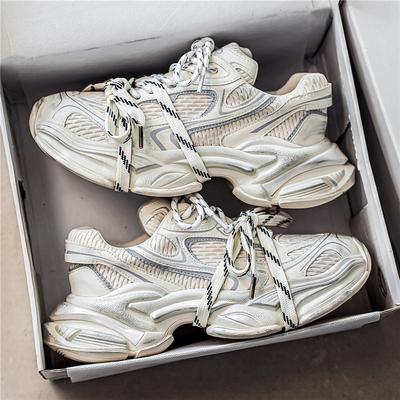 Dad Shoes Platform Heightening Tide Shoes 22 Autumn and Winter New Youth Personality Leisure Sports
