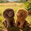 Bebek ve Peluş Oyuncaklar – Doldurulmuş ve Peluş oyuncak hayvanlar