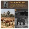 Camera Taking Trail 36mp 1080p Night Photo Video Hunting Animal Monitoring Tool