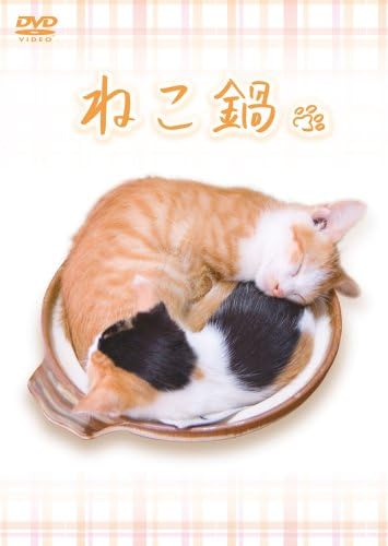 

DVD DVD Cat hotpot BMBL1001 Japan Movies DVD Used