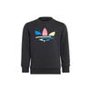 adidas Originals Kids Casual Sportswear Sets Crew Neck Moderate (Unisex) Casual Sportswear Sets H25294
