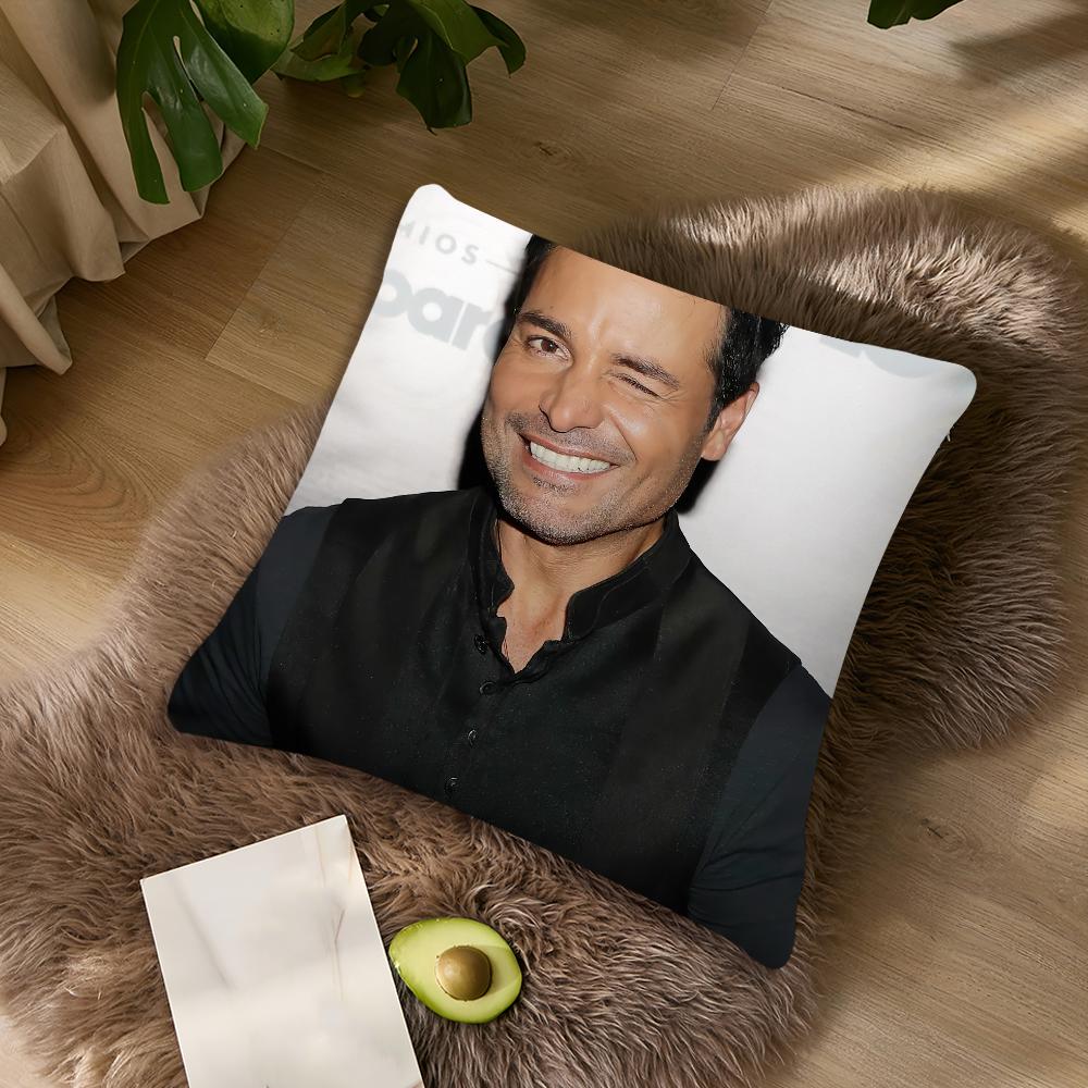 Singer C-Chayanne P-Puerto cushion cover Living Room Accent Couch Back Support Square Lounge Restful Nap Companion Pillow Case