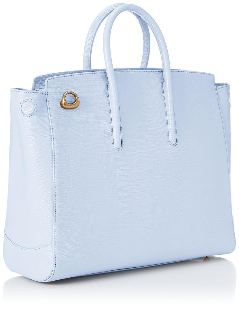 and Jolly Lizard [Toff Lodestone] (L)