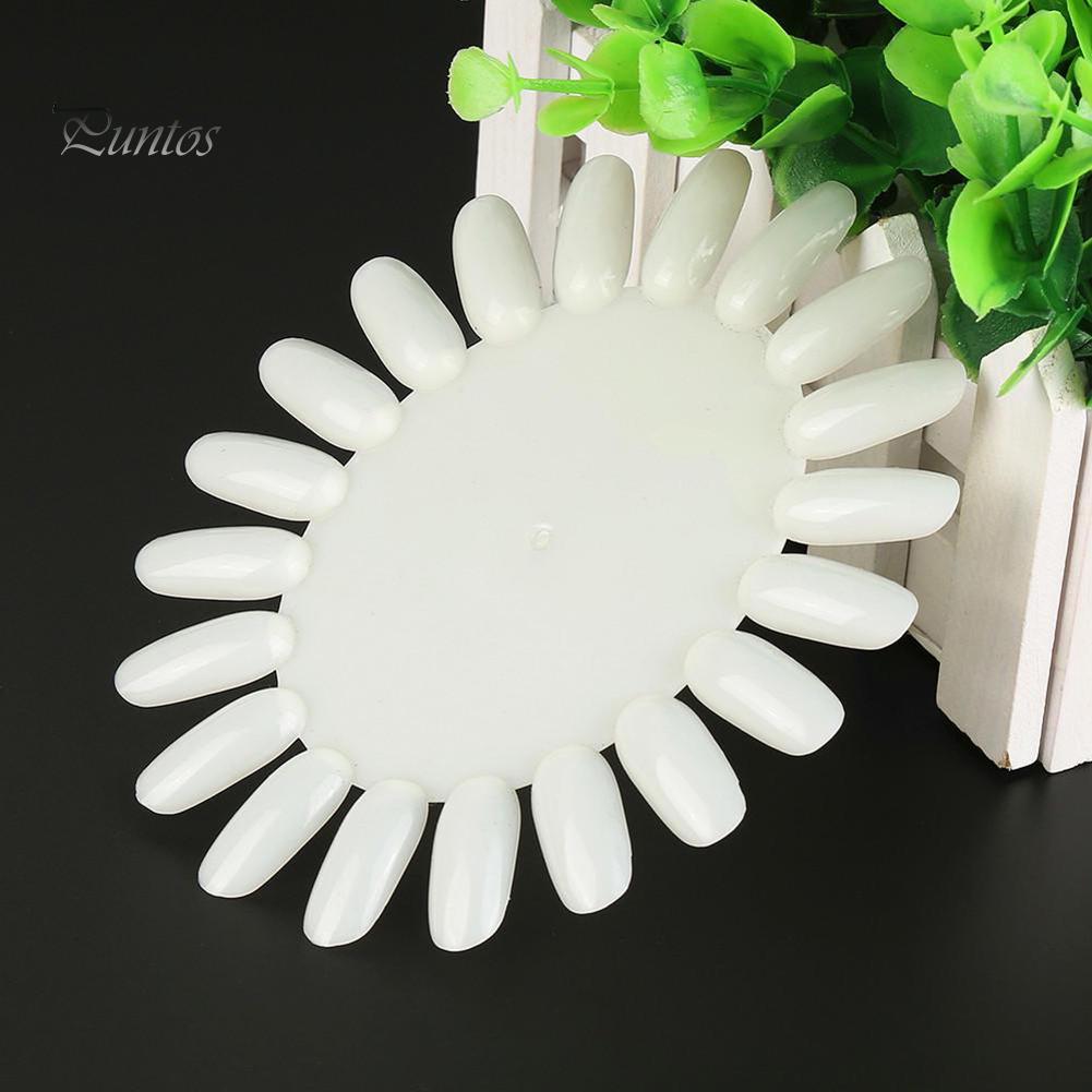Puntos Nail Art 20 Colors Acrylic False Tip Practice Round Wheel Mould DIY Display Tool
