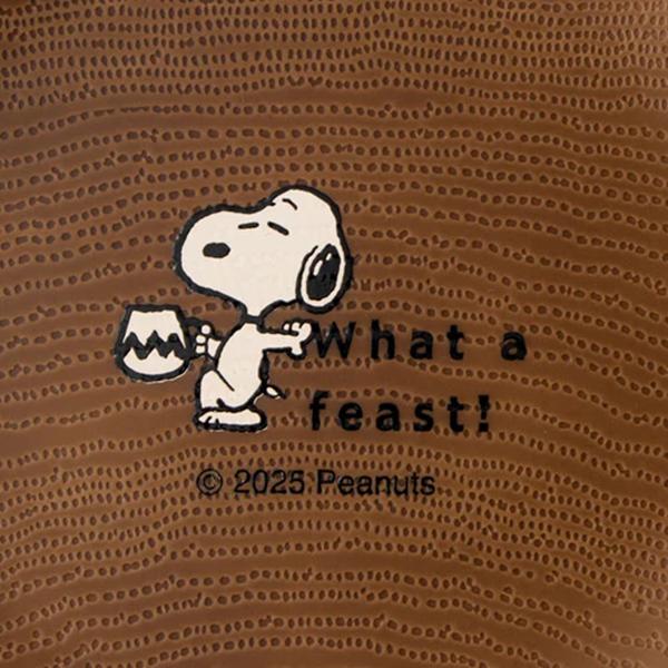 PEANUTS Snoopy Lunch Plate M ( What a Feast! ) Snoopy Japan NEW