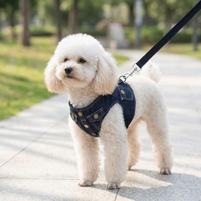 Hunde – Hundehalsbänder & Leinen