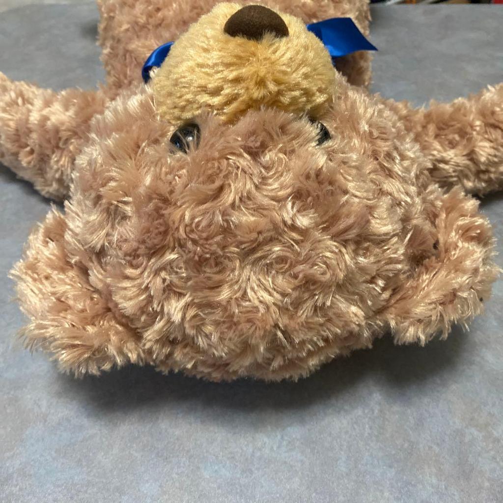 [USED] Honey Teddy Bear Plush Toy
