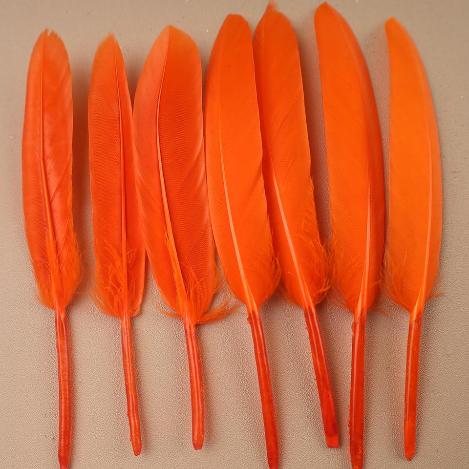 Duck Feathers for Clothes Handicraft Accessories White Golden Black Pink Peacock Goose Feather Plumas Handicraft Article