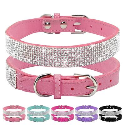 Köpek – Köpek Tasmaları ve Tasma Kayışları