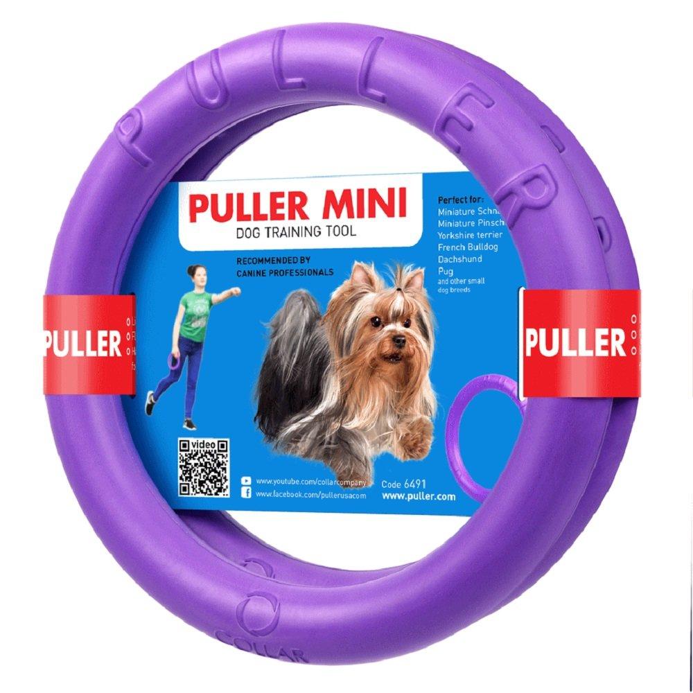 

COLLAR small dog