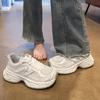 Single Mesh Breathable Mesh Sports Leisure Fashion Internet Celebrity Women's Shoes 2025 Spring and Summer New Muffin Heightening Dad Shoes