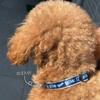Official MLB Los Angeles Dodgers Shohei Ohtani Model Dog Size Los Angeles Pet Collar, Large, Baseball, Dodgers,