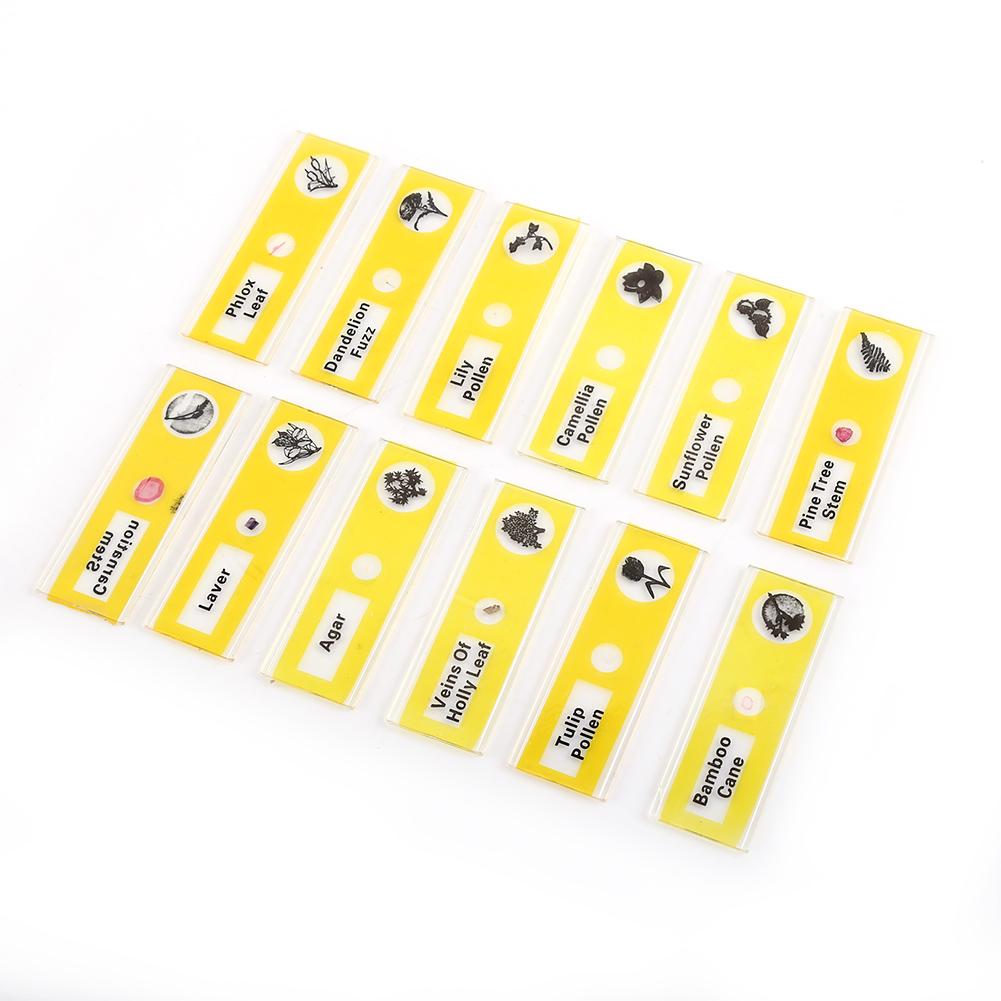  lantern slides, 4 Boxes Prepared Microscope Slides Animals Plants Flowers Sample Specimens(Red, Yellow, Blue, Green 12pcs box), Slides