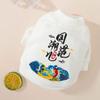 Pet puppy dog sweater teddy than bear puppy cat anti-hair loss spring warm two-legged clothes