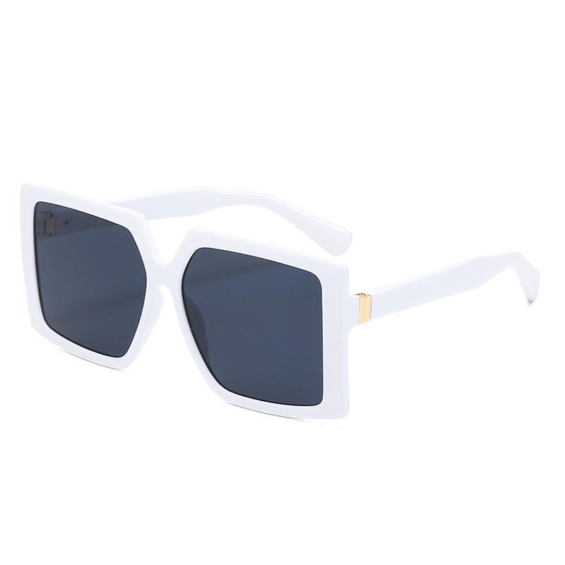 2024 Fashion Large Frame Square Sunglasses with Metal Accents - European & American Trend