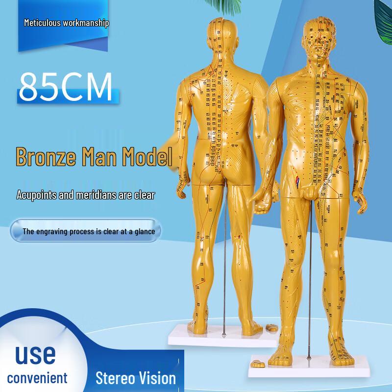 Blue Butterfly 80CM Bronze TCM Acupuncture Model