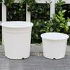 Pothos Planter with Saucer Flowerpot with Drainage Holes Ventilated Plant Pot for Roses Orchids Blueberries Indoor Outdoor Use