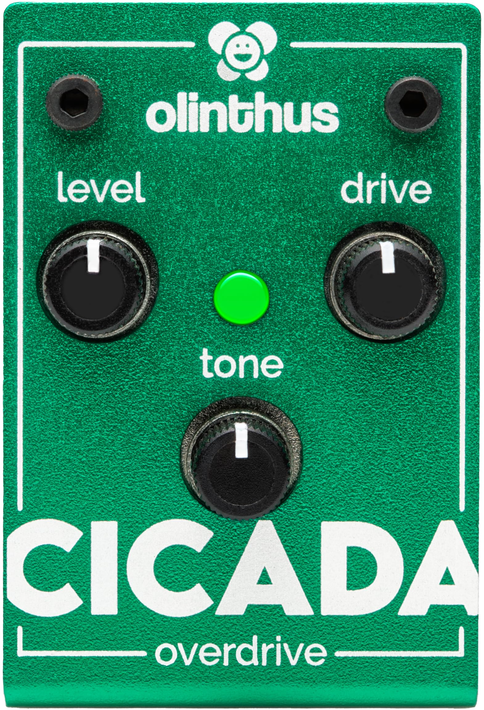 

Olinthus Cicada Overdrive Effects Pedal