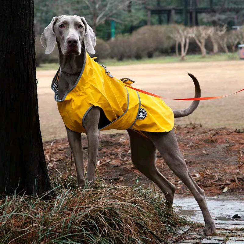 Waterproof Puppy Dog Raincoat Pet Outdoor Rain Jacket Vest Reflection Dog Clothes Windproof Vest Clothes Accessories for Dog