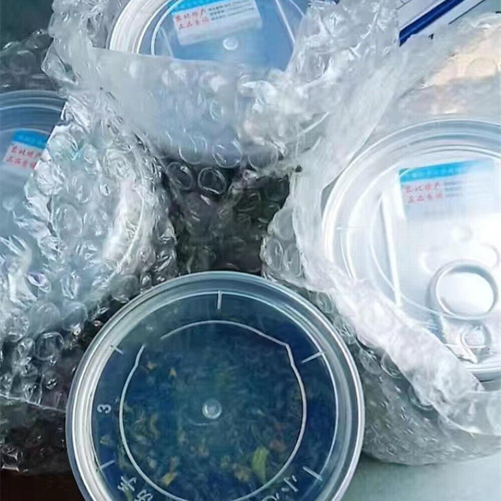 Herbal Tea Clove Leaf Changbai Mountain wild tea