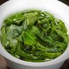 Fujian Anxi Tieguanyin Oolong Tea Strong Aroma 200g Can Premium