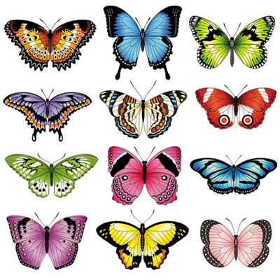 Farben Schmetterling Applikation auf Kleidung Thermotransfer Streifen DIY T-Shirt waschbare Kleidung Aufkleber Schmetterling Dekor Patch