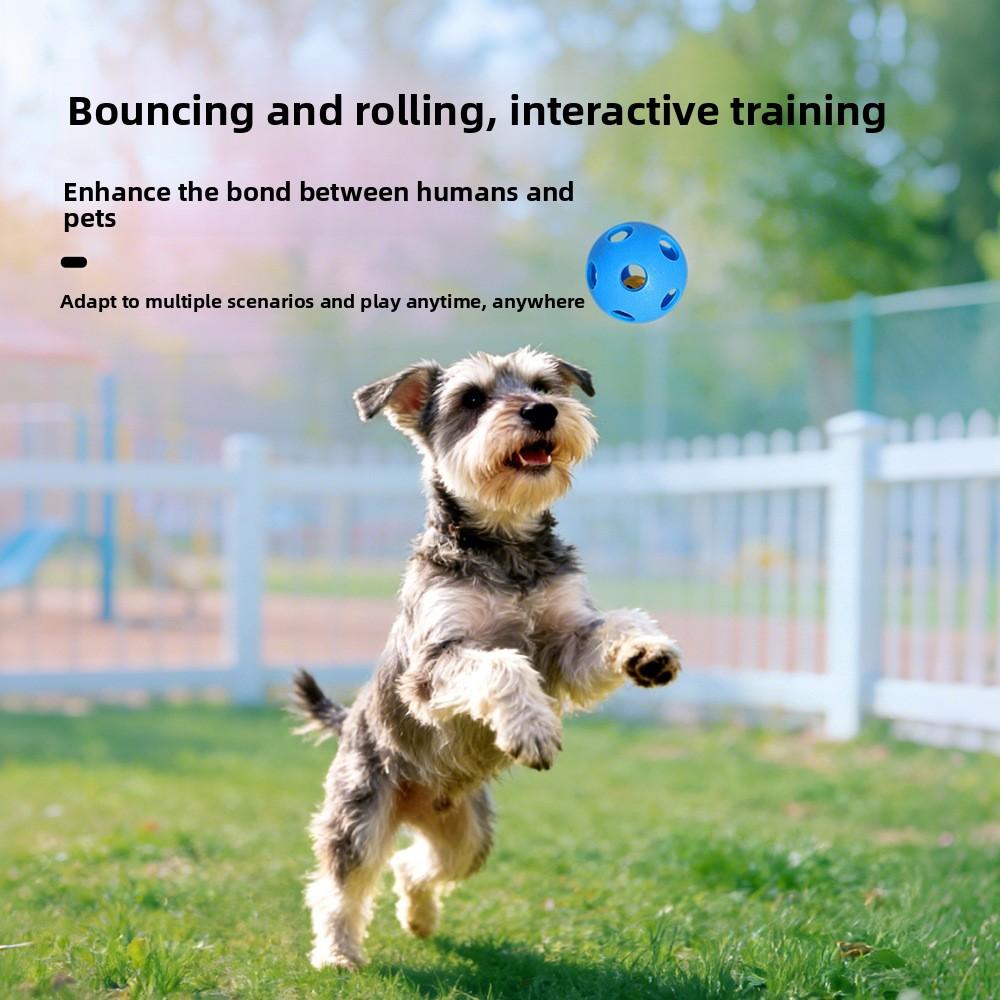 Pet Self-amusement Chewing Toy Ball, Durable Hollow Food-leaking Ball, Dog and Cat Pet Toy Ball, Dog Toy
