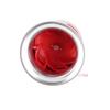 Electric Motor Siren 125dB Motor Driven Buzzer Sound Alarm Horn Siren for Home Factory School Ranch Entertainment Venue
