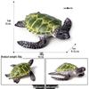 Cross-Border Children's Cognitive Amphibian & Reptile Tortoise Model Fish Tank Ornament Toy