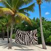 Braun-Weiße Zebrastreifen Schnelltrocknendes Badetuch Mikrofaser Strandtuch Leichtgewicht Schwimmen Camping Yoga Strand Out
