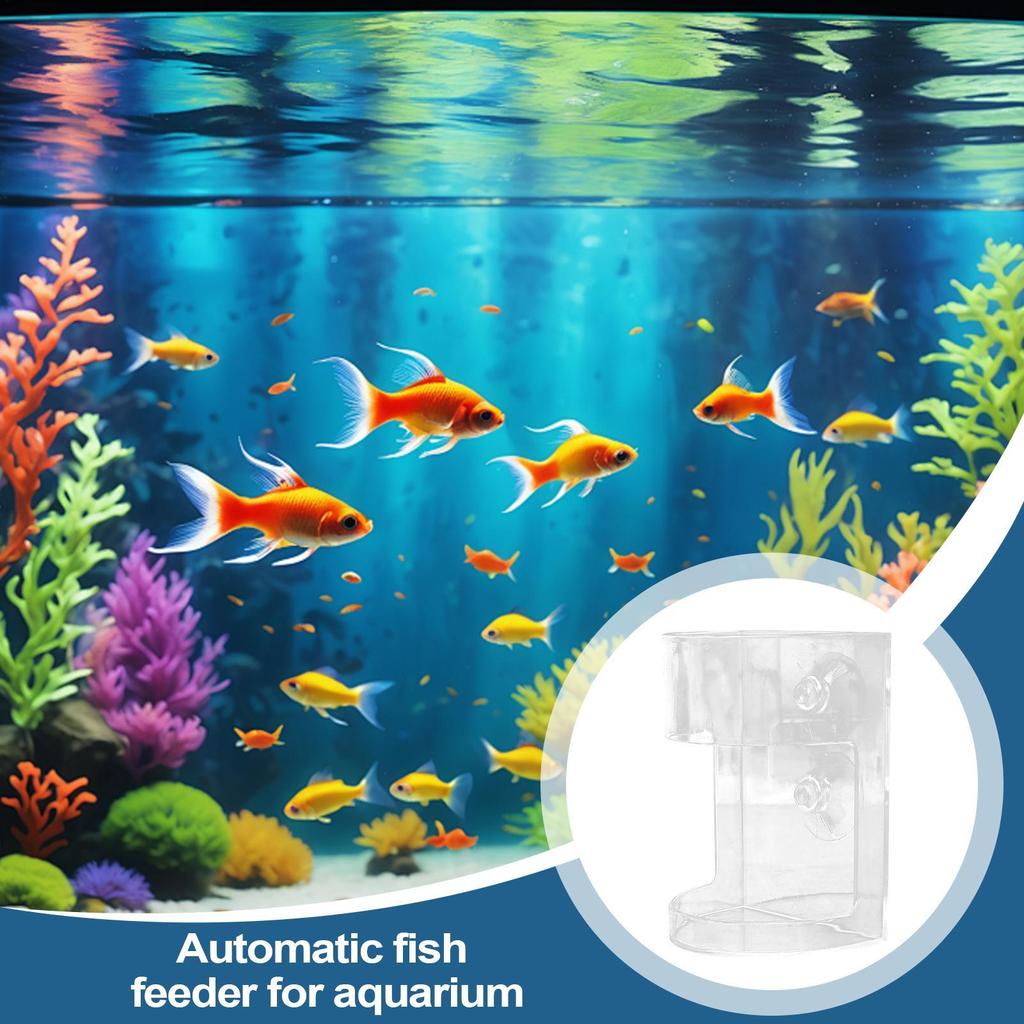 Non-Slip Aquarium Feeder Ring Fish Feeding Supplies Transparent Fish Feeding Dish Floating Food Feeder Square for Fish Tank