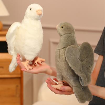 Bebek ve Peluş Oyuncaklar – Doldurulmuş ve Peluş oyuncak hayvanlar