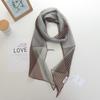 2025 Niche Personality Colorblock Silk Scarf: Versatile and Fashionable Thin Tie Ribbon Accessory for Women
