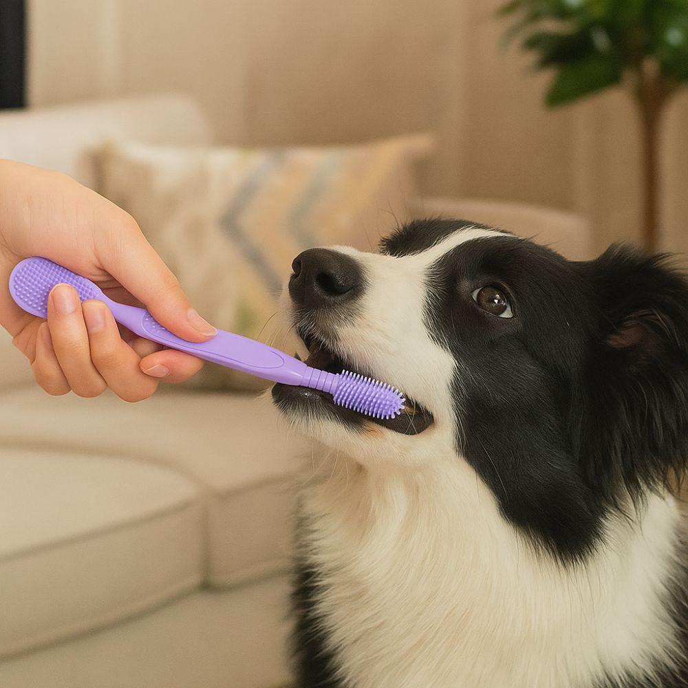 Gentle Pet Teeth Cleaning Brush Durable Cat Toothbrushes Pet Accessories Dog Toothbrush Teeth Care
